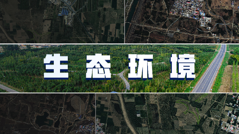 雄安“星”視角丨邂逅雄安版“只此青綠”