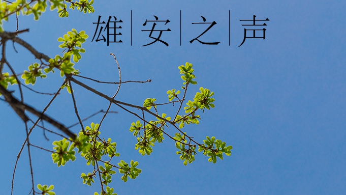 【雄安之聲】20220329