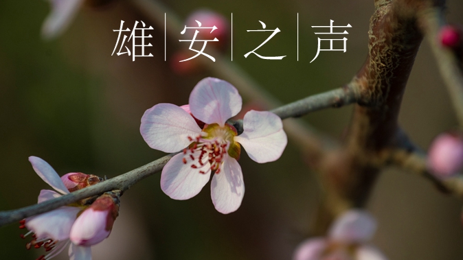 【雄安之聲】20220330