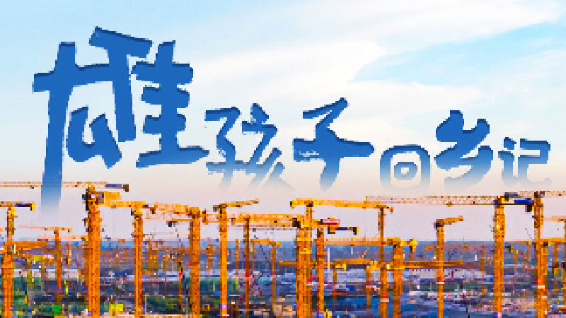 創(chuàng)意視頻丨“雄孩子”回鄉(xiāng)記