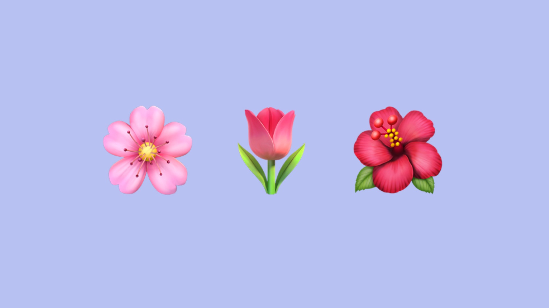 家鄉(xiāng)雄安丨雄安的春，都藏在這“花花世界”里！