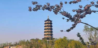 @雄安人，家門口這些高顏值景點等你來打卡！