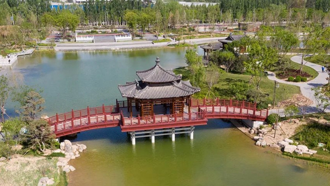 家鄉雄安丨悅容公園奏響夏日序曲