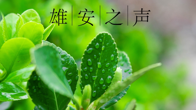 【雄安之聲】20220509