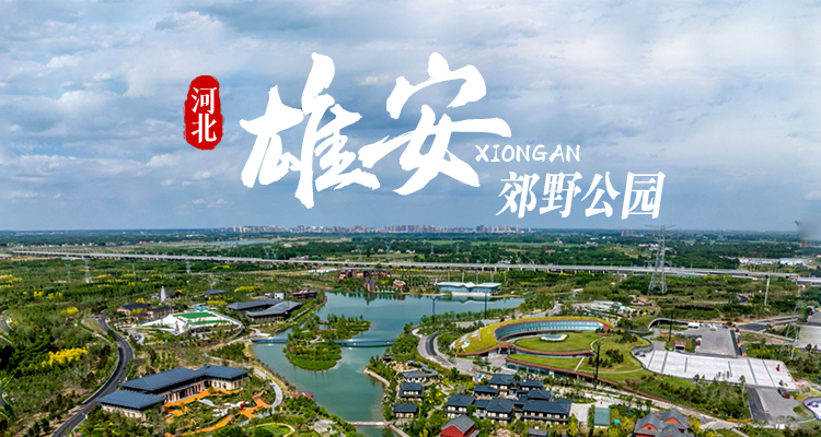 明信片·如面丨雄安郊野公園風景正好！