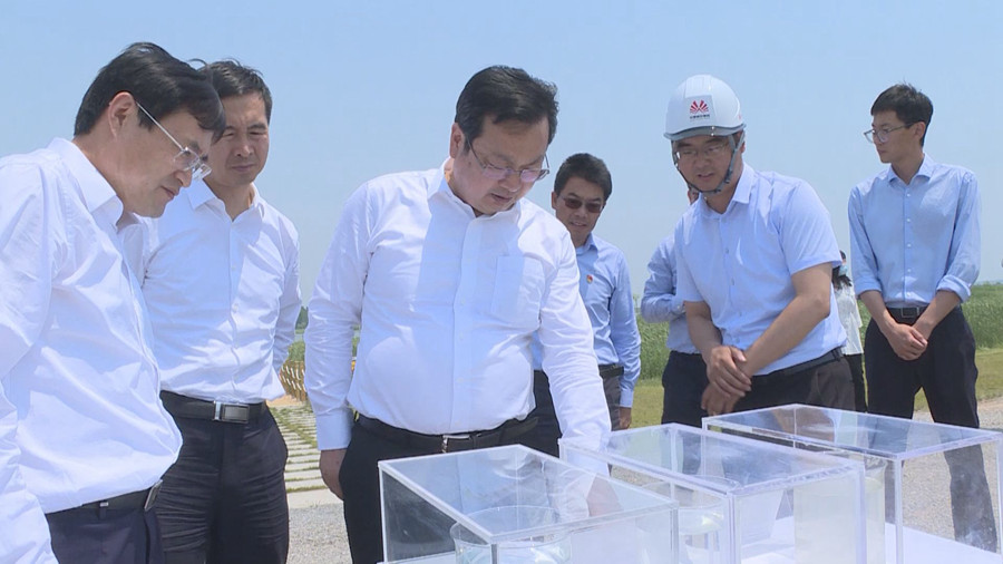 時政播報丨張國華調研啟動區中央綠谷、東部溪谷和府河河口濕地生態建設及補水情況