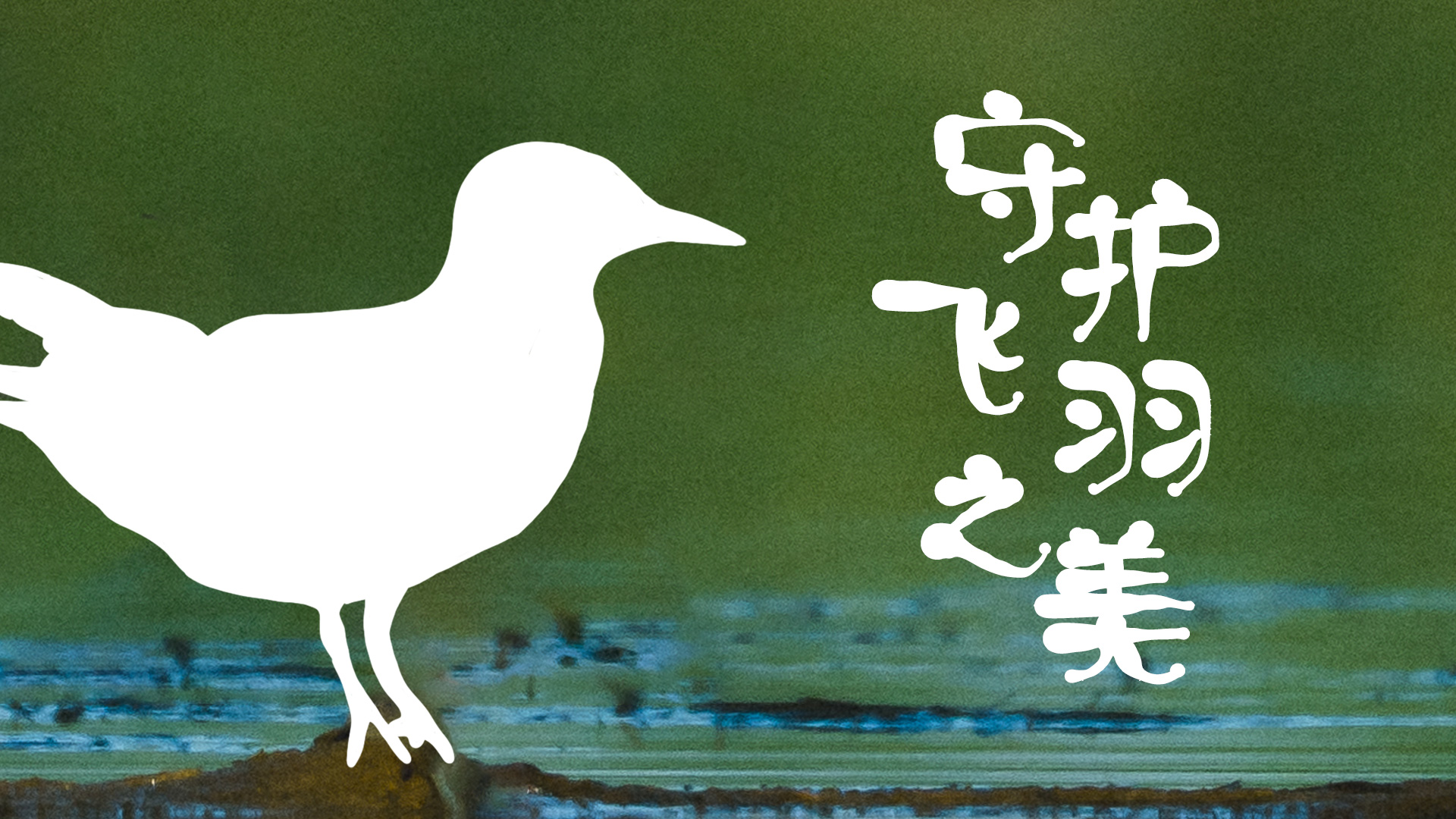 “鳥鳥”有很多小脾氣！白洋淀：沒問題！