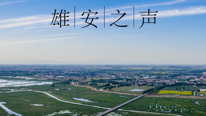 【雄安之聲】20220810