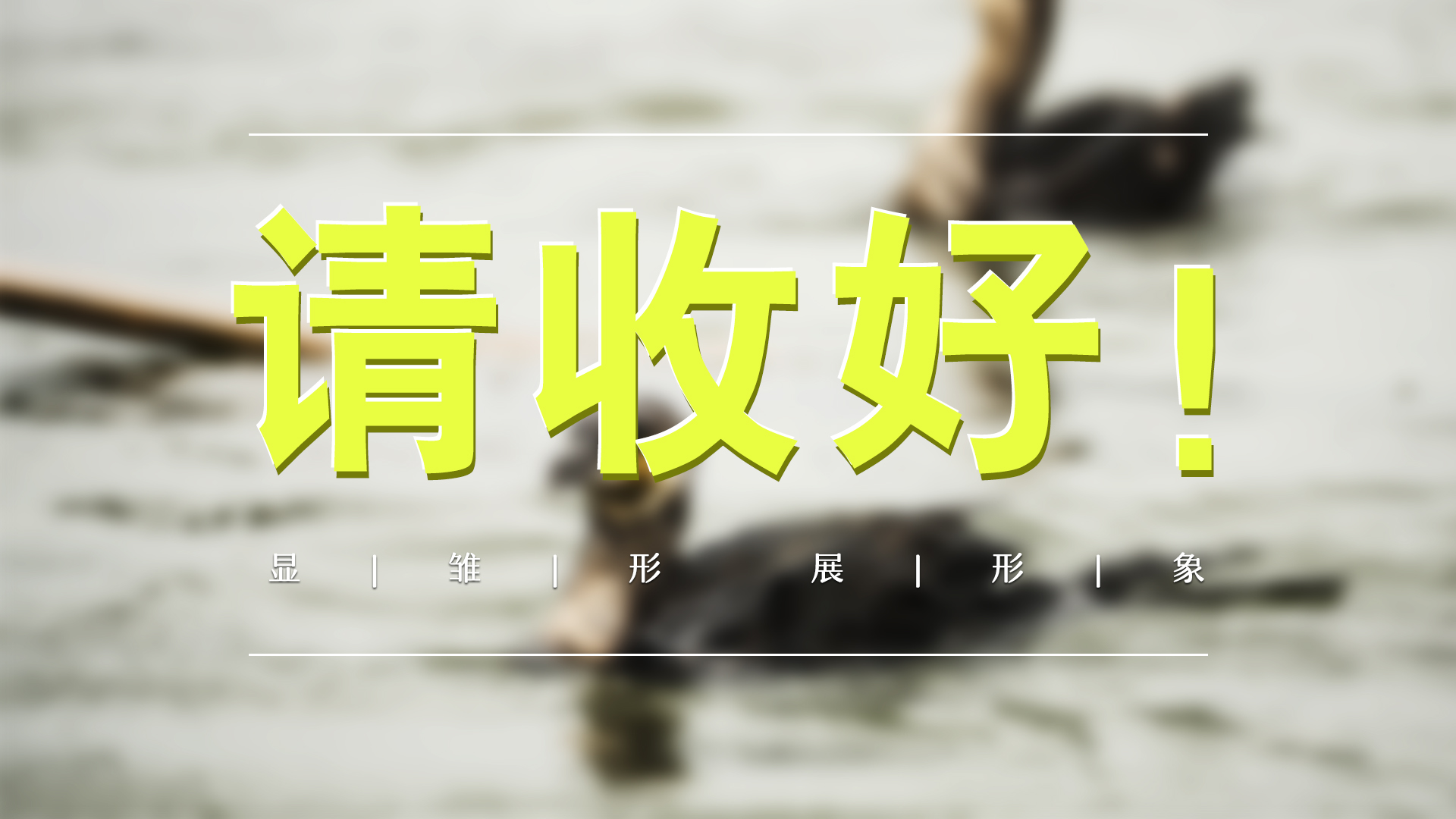 這5張名片，很雄安！