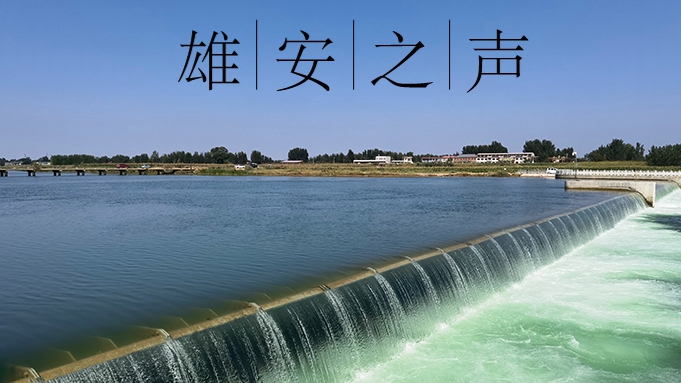 【雄安之聲】20221101