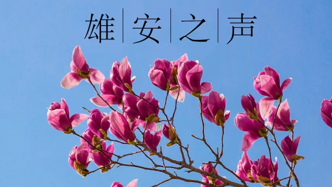【雄安之聲】20230316