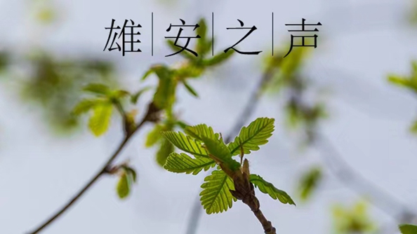 【雄安之聲】20230321
