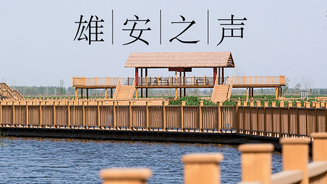 【雄安之聲】20230322