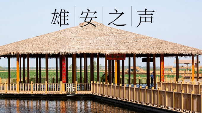【雄安之聲】20230323