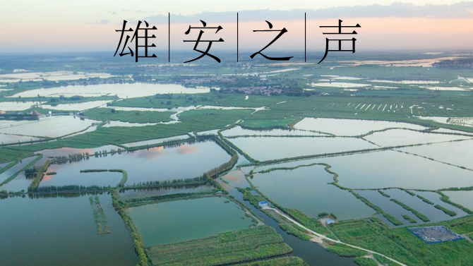 【雄安之聲】20230329