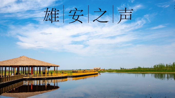 【雄安之聲】20230330