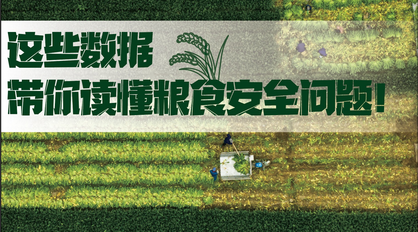 這些數(shù)據(jù)帶你讀懂糧食安全問題！