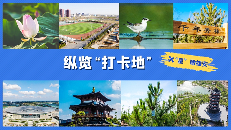 “星”瞰雄安丨縱覽“打卡地”