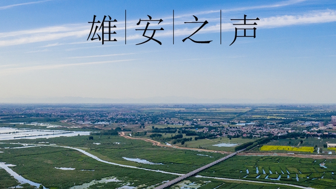 【雄安之聲】20230403