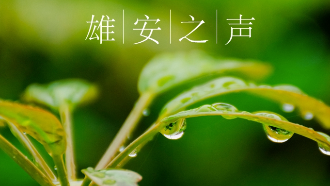【雄安之聲】20230404
