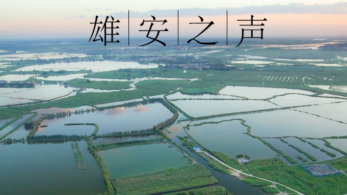 【雄安之聲】20230413