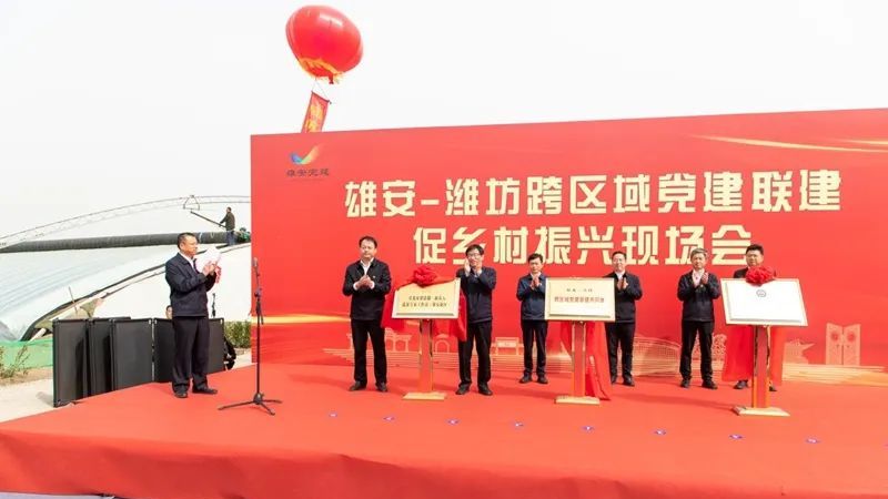 雄安-濰坊深化黨建聯建 共譜鄉村振興新篇章