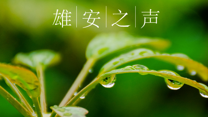 【雄安之聲】20230421