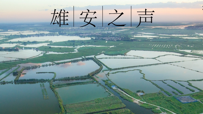 【雄安之聲】20230405