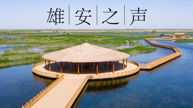 【雄安之聲】20230426