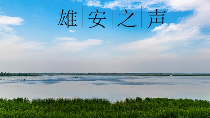 【雄安之聲】20230428
