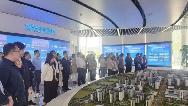 雄安新區2023年“雙聚雙促”專題培訓班舉辦