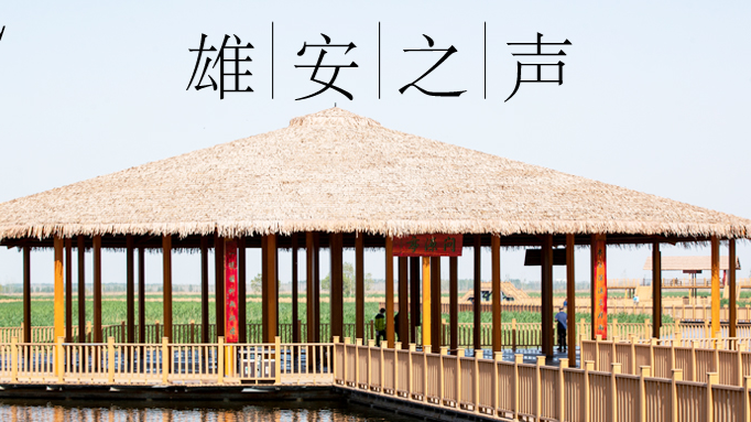 【雄安之聲】20230510