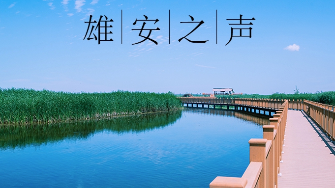 【雄安之聲】20230511
