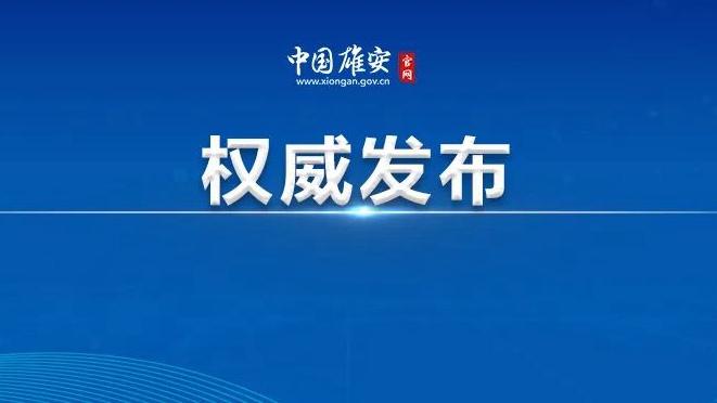 雄安新區召開黨工委委員（擴大）會議