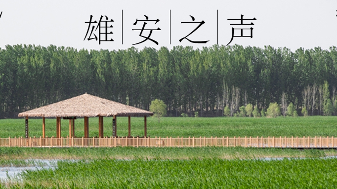 【雄安之聲】20230517