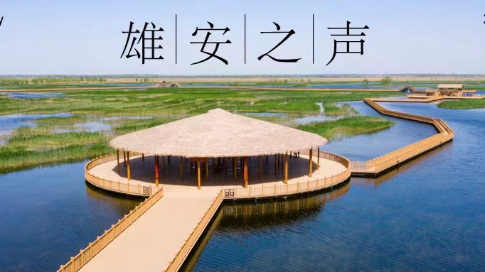 【雄安之聲】20230524