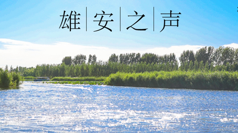 【雄安之聲】20230526