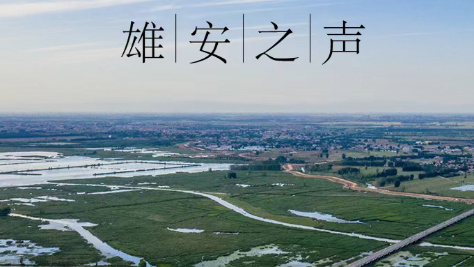 【雄安之聲】20230529