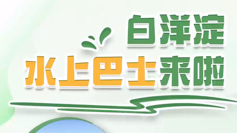 百姓看聯(lián)播丨白洋淀“水上巴士”來啦！