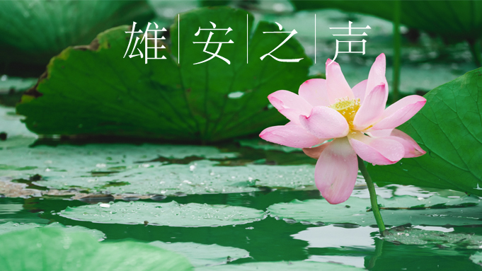 【雄安之聲】203230707