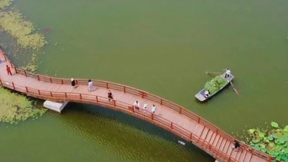 我的環保小故事