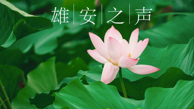 【雄安之聲】20230711