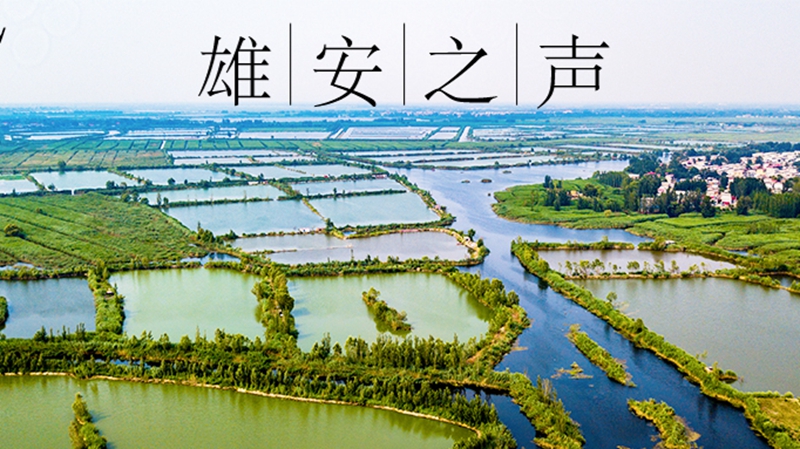 【雄安之聲】20230712