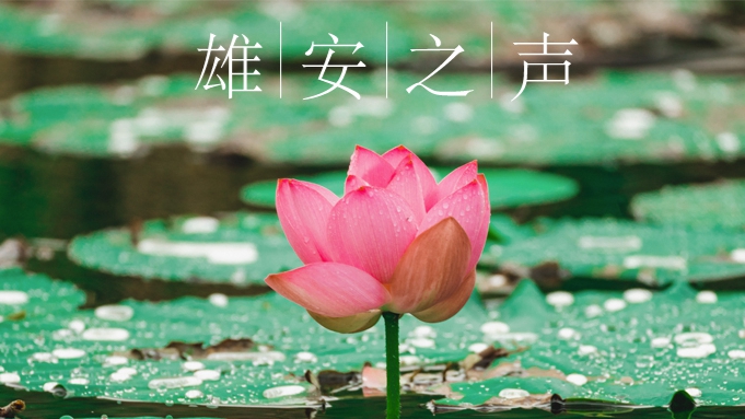 【雄安之聲】20230713