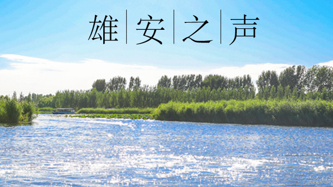 【雄安之聲】20230720