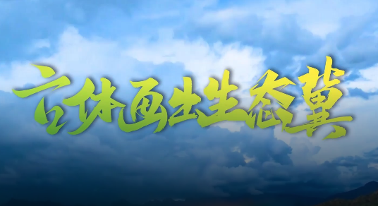 創意視頻丨立體畫出“生態冀”