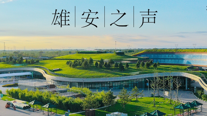 【雄安之聲】20230815