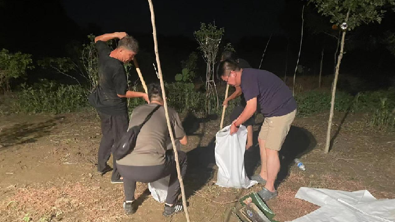 防汛一線顯擔當丨雄縣龍灣鎮上下一心，全力打好防汛攻堅戰