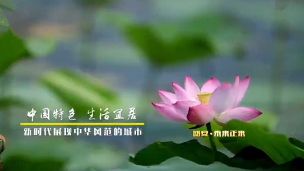 《河北雄安新區規劃綱要》解讀——雄安·未來正來（一）