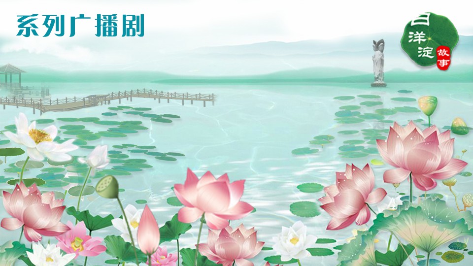 系列廣播劇第71期：一到夏天，它就成了白洋淀的魂！
